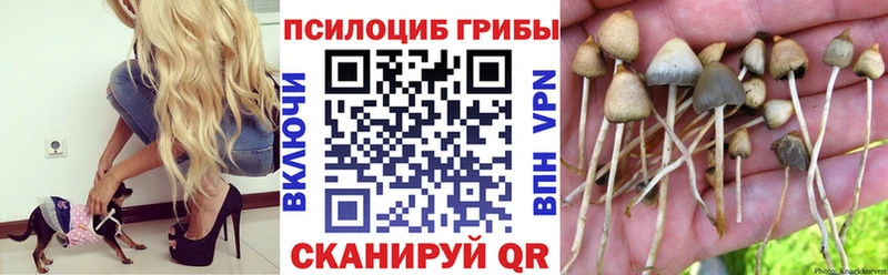 Купить закладки  Евпатория  Псилоцибиновые грибы Magic Shrooms 