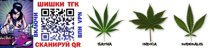 Купить закладки  Евпатория  Канабис SATIVA & INDICA 